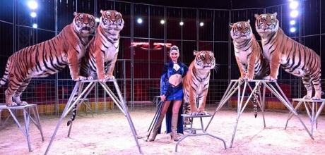 El Gran Circo Mundial debuta en Sevilla con el espectáculo Bailando con tigres y la domadora alemana Carmen Zander como estrella