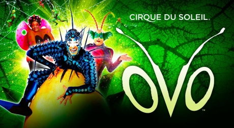 OVO – Cirque du Soleil – 16 al 20 de Enero – Palacio Municipal de Deportes – Murcia